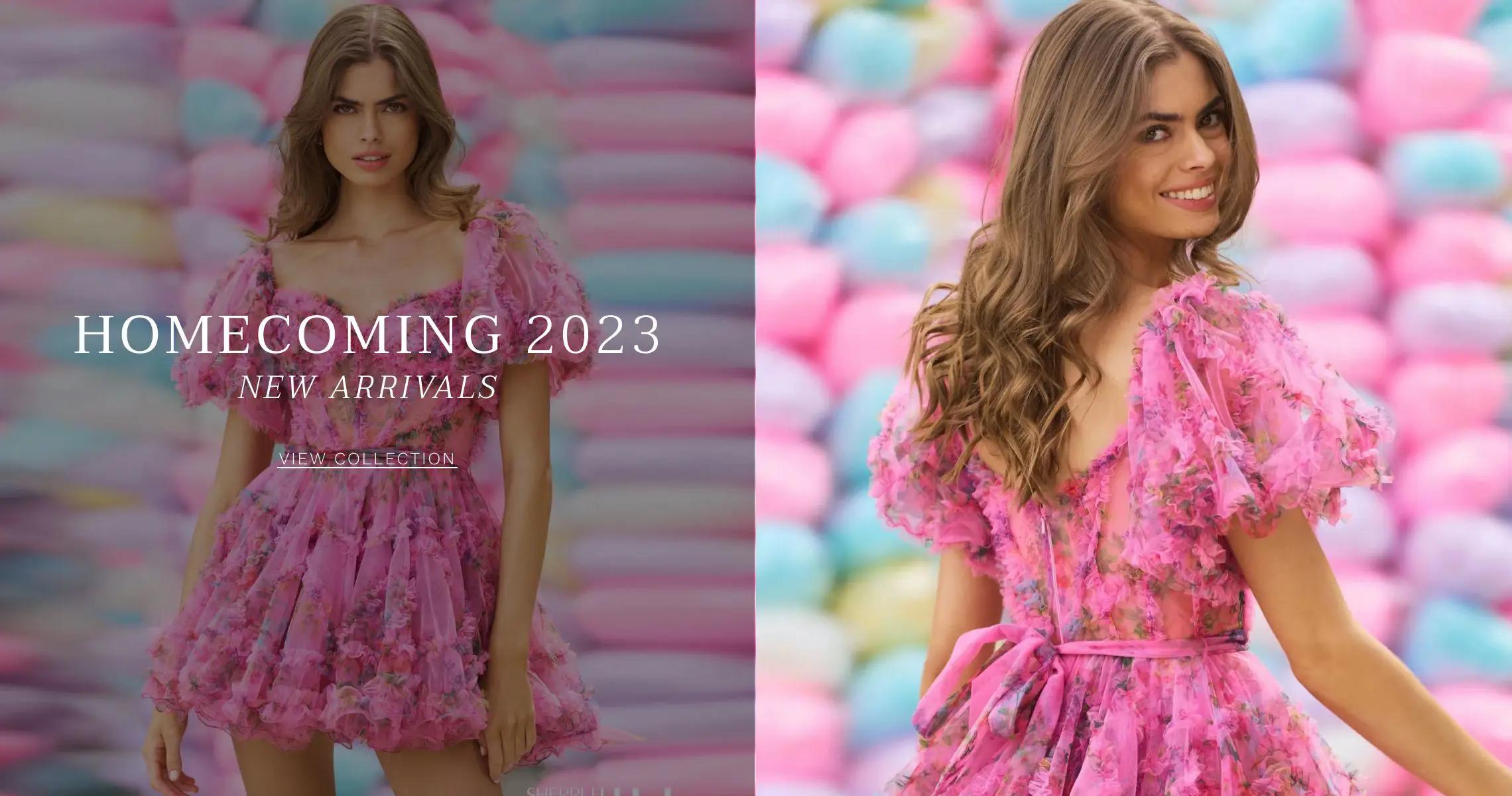 Homecoming 2023 collection Banner for Desktop